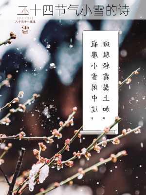 二十四节气小雪的诗