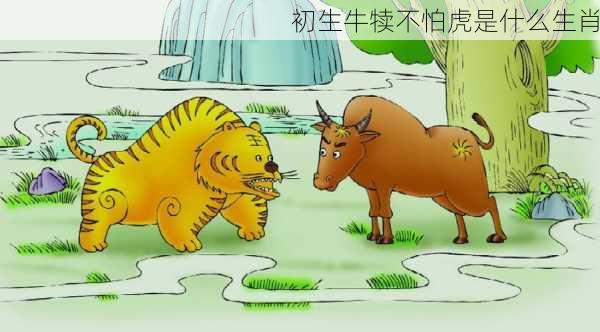 初生牛犊不怕虎是什么生肖