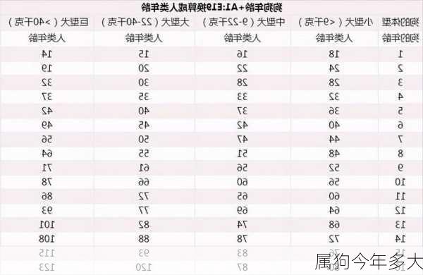 属狗今年多大