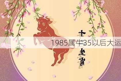 1985属牛35以后大运