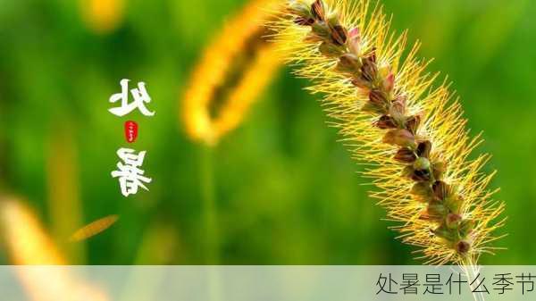 处暑是什么季节