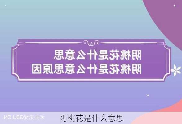 阴桃花是什么意思