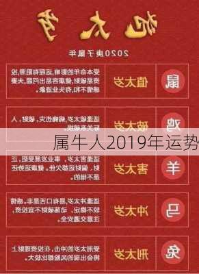 属牛人2019年运势