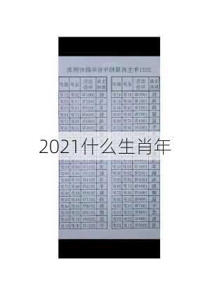 2021什么生肖年