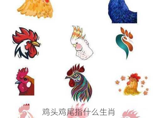 鸡头鸡尾指什么生肖