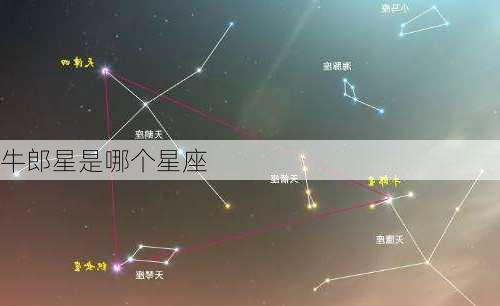 牛郎星是哪个星座