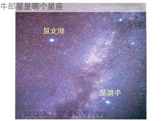 牛郎星是哪个星座