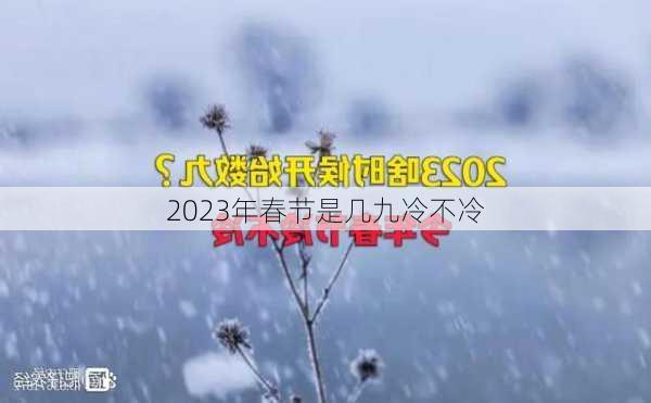 2023年春节是几九冷不冷