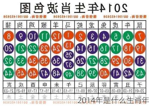 2014年是什么生肖年