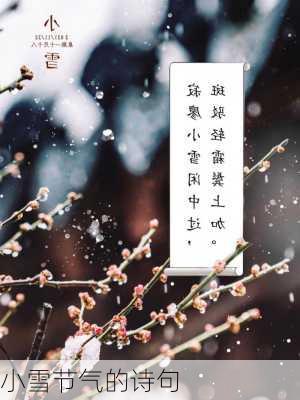 小雪节气的诗句