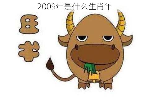 2009年是什么生肖年