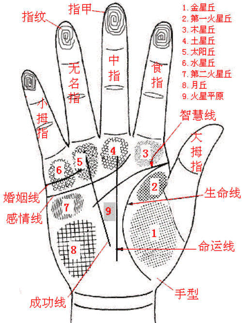 手相 图解