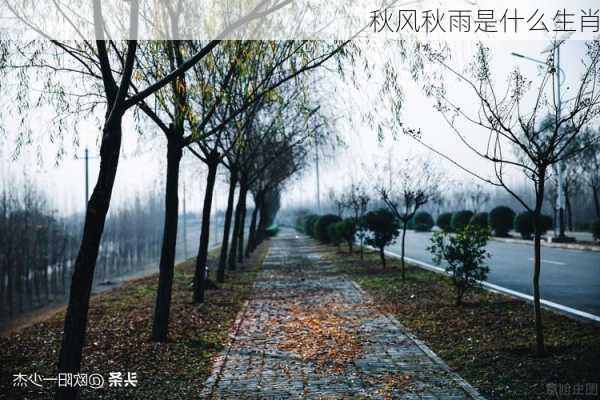 秋风秋雨是什么生肖