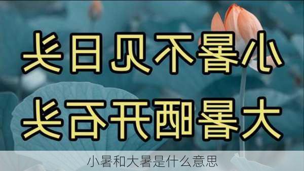 小暑和大暑是什么意思