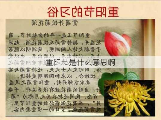 重阳节是什么意思啊