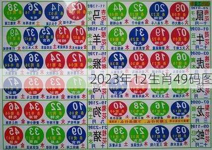 2023年12生肖49码图