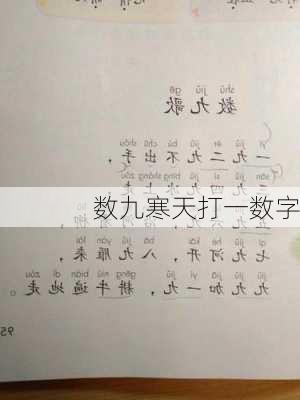 数九寒天打一数字