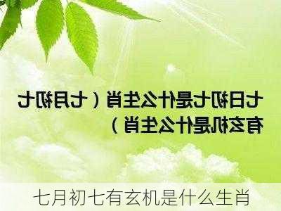 七月初七有玄机是什么生肖