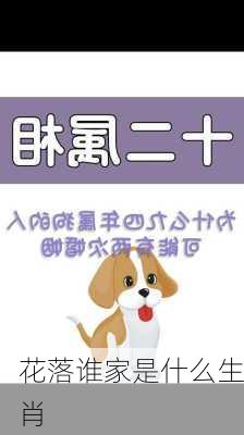 花落谁家是什么生肖