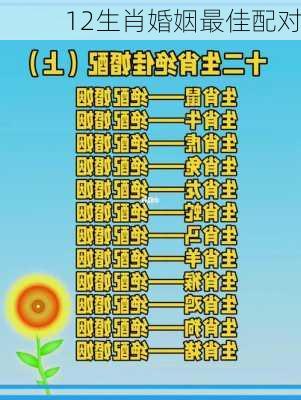 12生肖婚姻最佳配对