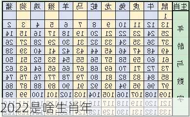 2022是啥生肖年