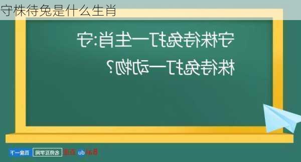 守株待兔是什么生肖