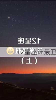 12星座谁最丑