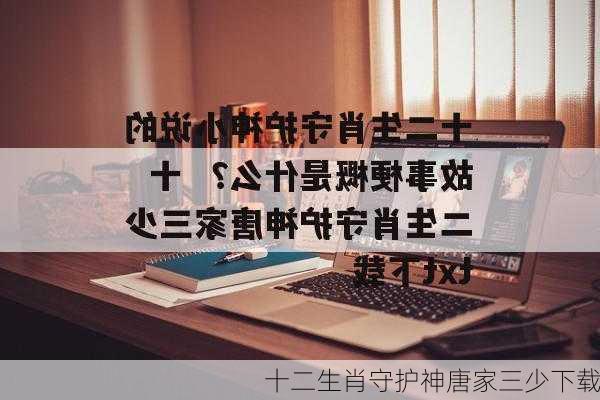 十二生肖守护神唐家三少下载