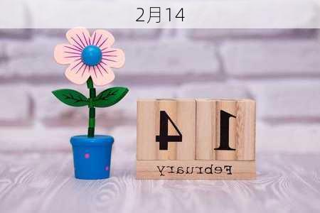 2月14