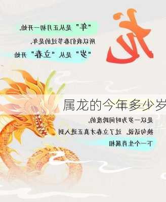 属龙的今年多少岁