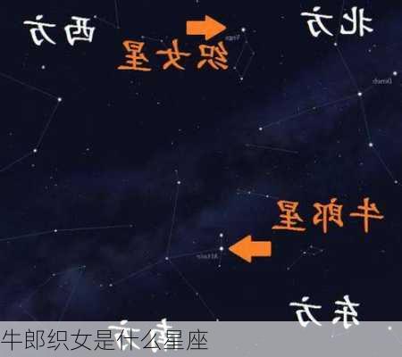 牛郎织女是什么星座