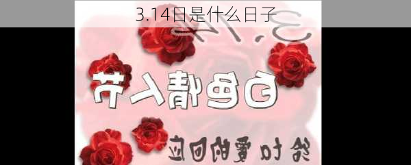 3.14日是什么日子