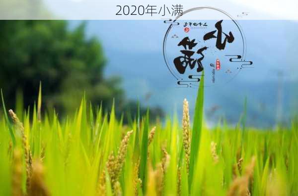 2020年小满