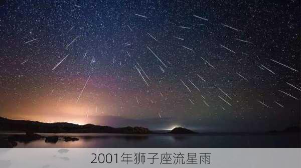 2001年狮子座流星雨