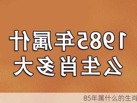 85年属什么的生肖