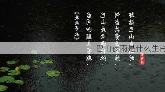 巴山夜雨是什么生肖