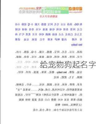 给宠物狗起名字