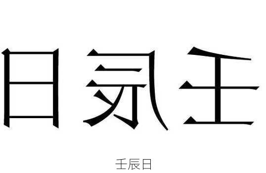 壬辰日