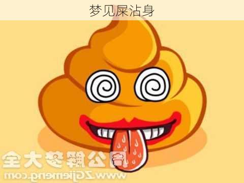 梦见屎沾身