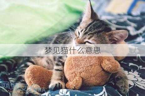 梦见猫什么意思