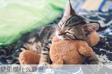 梦见猫什么意思