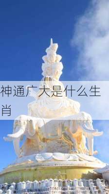 神通广大是什么生肖