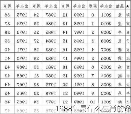 1988年属什么生肖的命