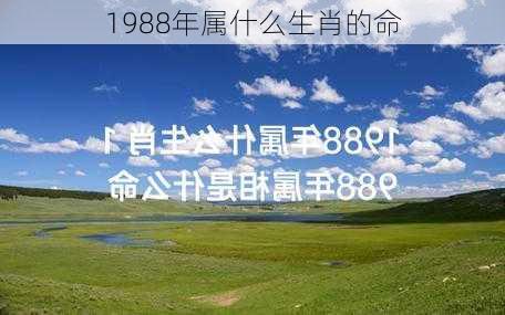 1988年属什么生肖的命