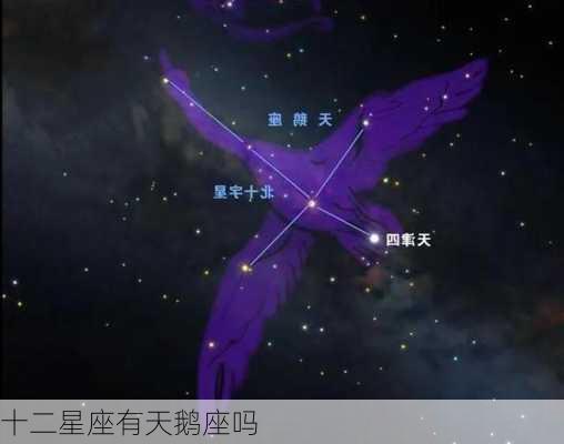 十二星座有天鹅座吗