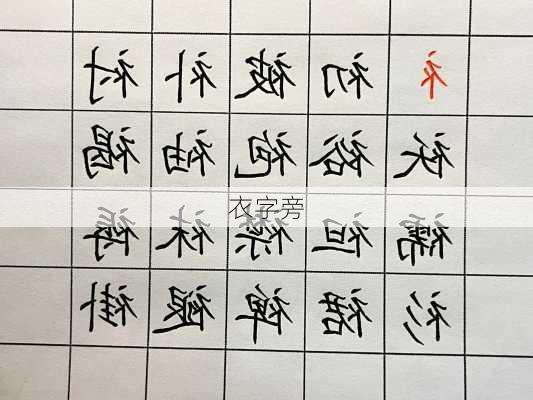 衣字旁