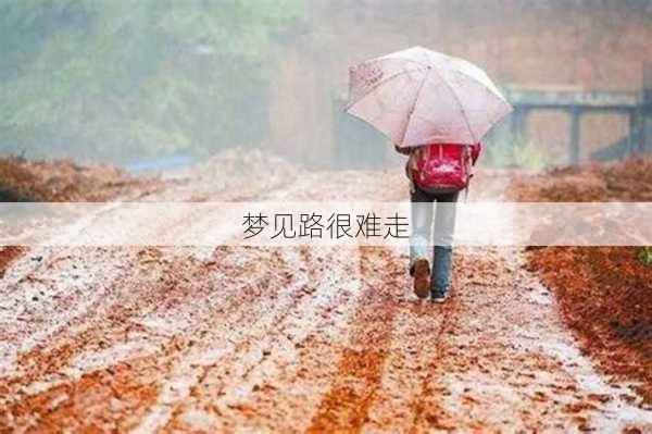 梦见路很难走