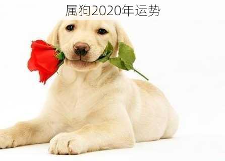 属狗2020年运势