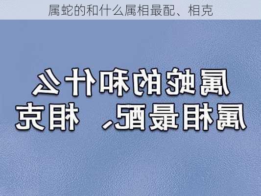 属蛇的和什么属相最配、相克