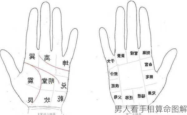 男人看手相算命图解